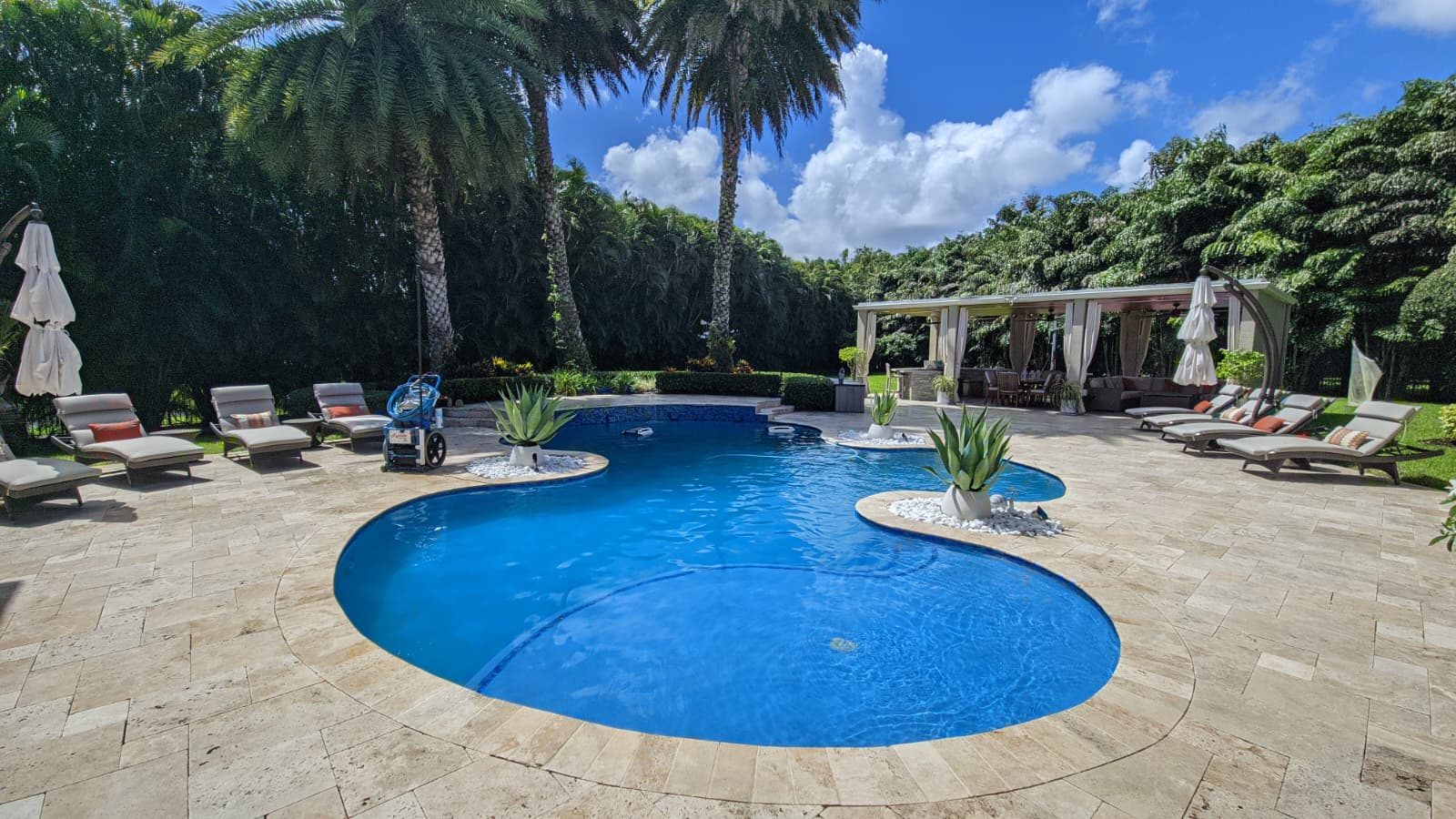 Clean pool